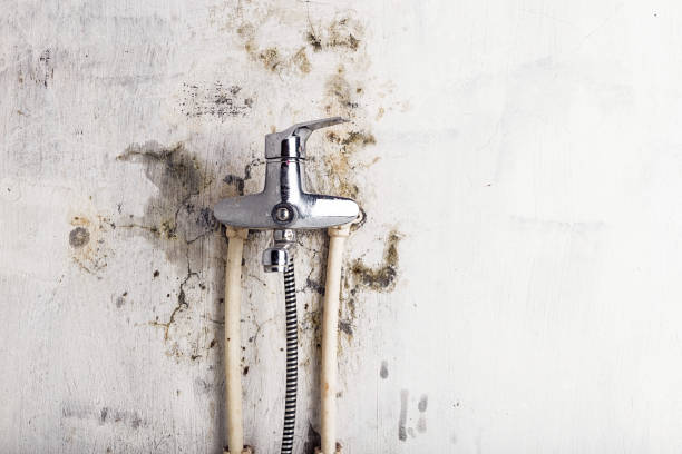 Mold Removal and Inspection in Tiburon, CA