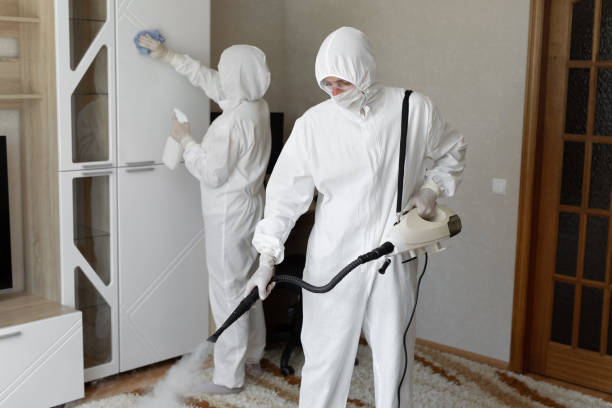Mold Testing and Removal in Tiburon, CA