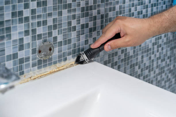Best Home Mold Removal  in Tiburon, CA