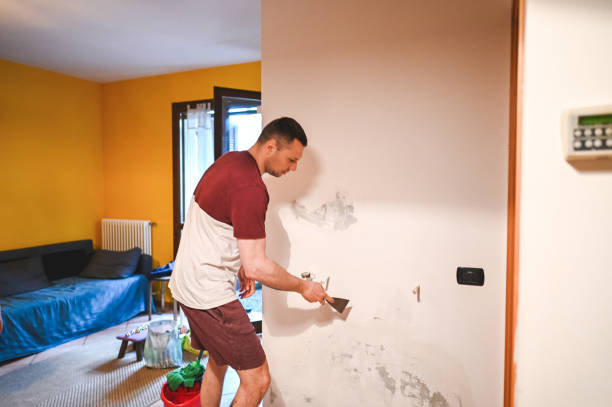 Best Mold Remediation  in Tiburon, CA