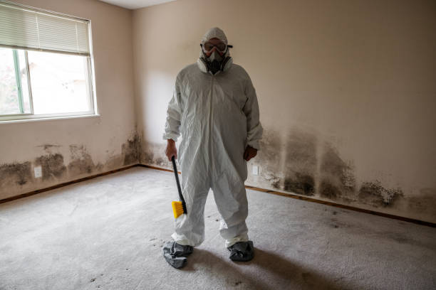 Best Certified Mold Removal  in Tiburon, CA